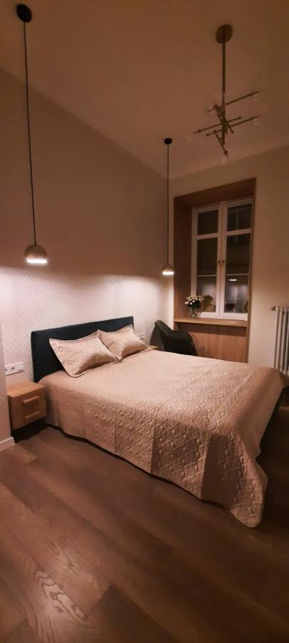 V.I.P Apartments Dominikanos Lviv Extérieur photo